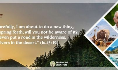6. Care for Creation