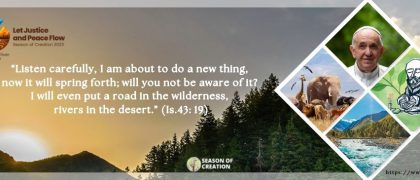 6. Care for Creation