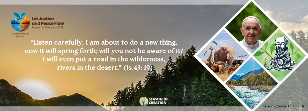 6. Care for Creation