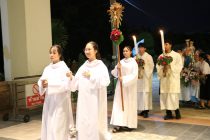 IMG_7714 (Large)